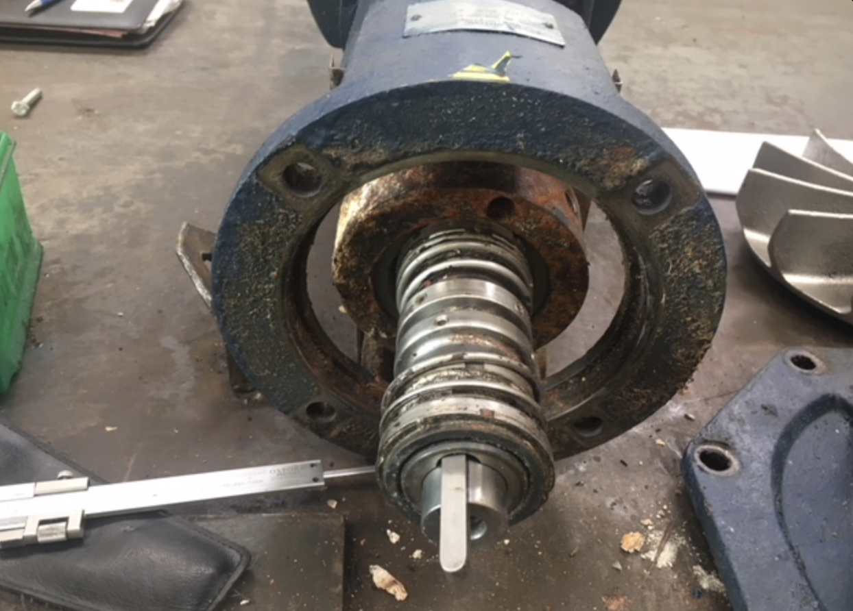 Engineers examining mechanical seals - From Complex Problem to Custom Solution: Upgrading a Salvatore Robuschi Pump Seal