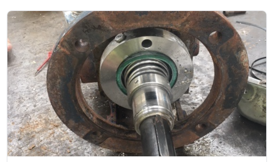 Salvatore Robuschi mechanical seal cartridge retrofit by Acumen Seals